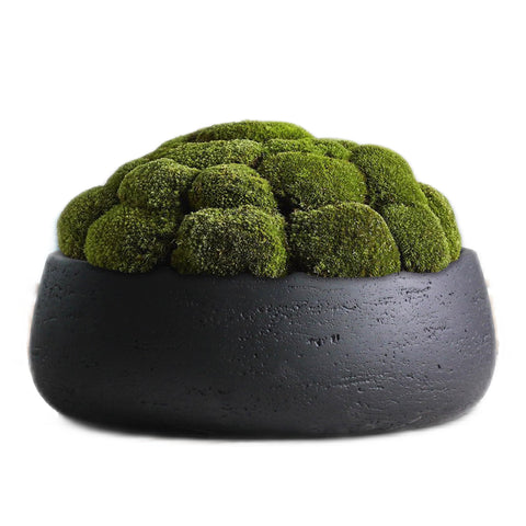 Planter bowl displays succulents and small arrangements with modern elegance.