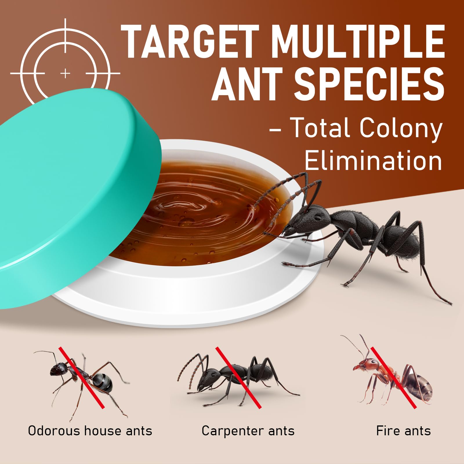 Close-up of Olougda gel attractant shows texture and targeting multiple ant species.