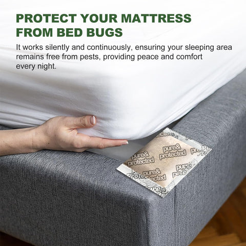 Olougda pouch placed in luggage provides travel-friendly, odor-free protection.