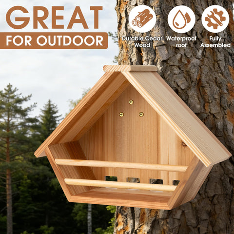 Oltara Cedar Mourning Dove Box interior spacious cavity ready for nests.