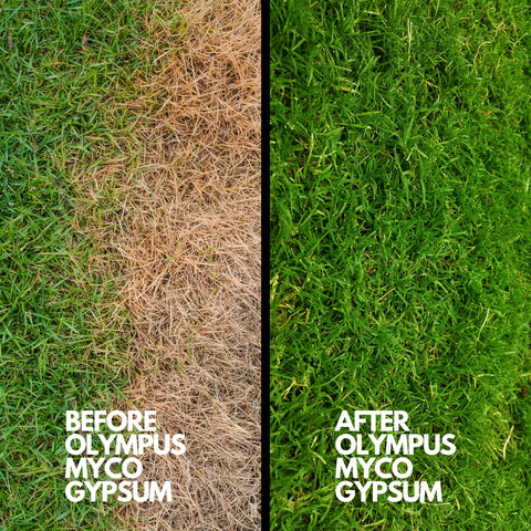 5 lbs bag of Olympus Myco gypsum powder ready for garden use