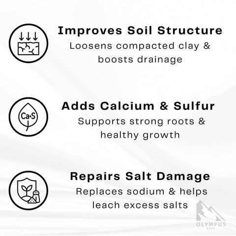 Olympus Myco gypsum powder in soil demonstrates improved moisture distribution.