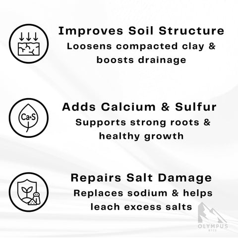 Mushroom substrate prepared with Olympus Myco gypsum powder for robust growth
