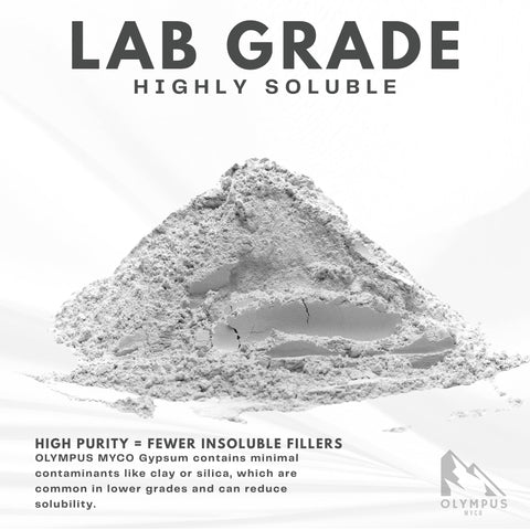 Olympus Myco gypsum powder pour shot showing fine crystals for easy mixing.