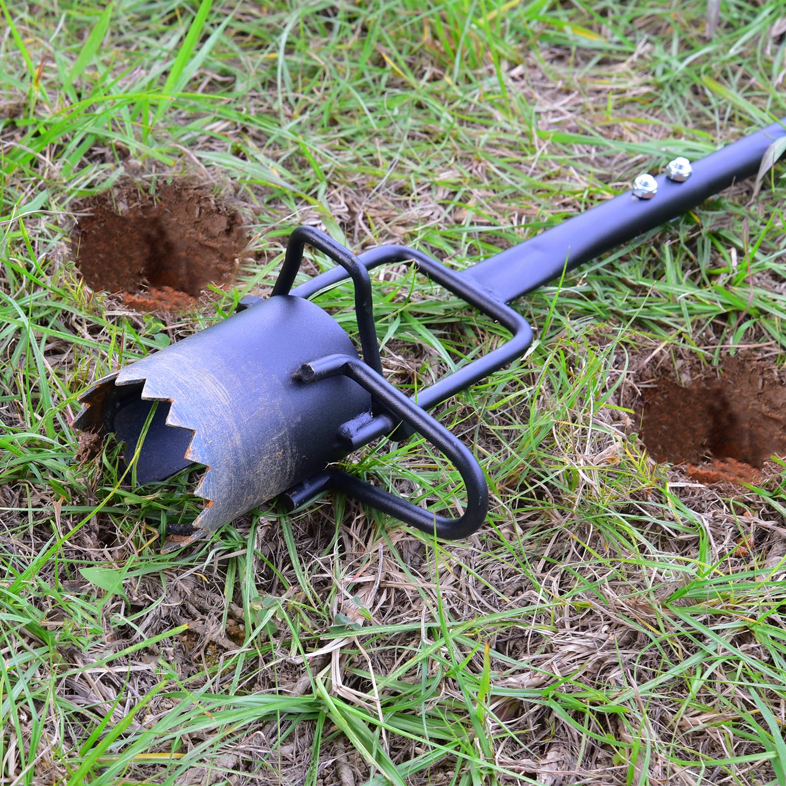 Omesata planter designed for tulips and daffodils with precise hole placement.