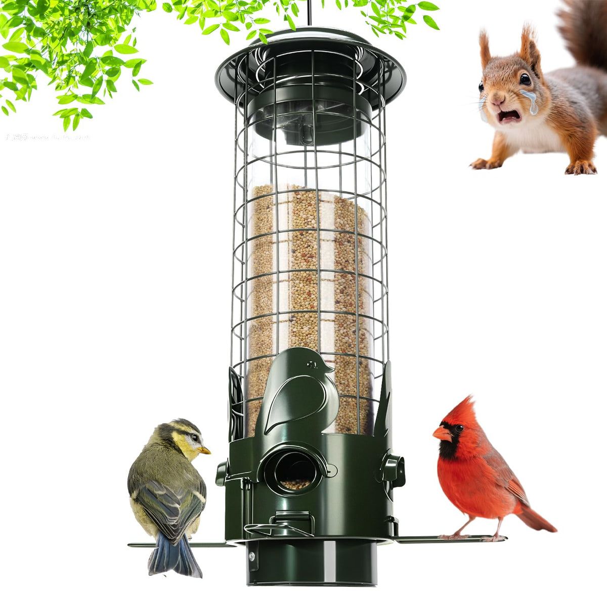 OMEUTY squirrel-proof feeder with weight-activated perches prevents squirrel access for small birds.