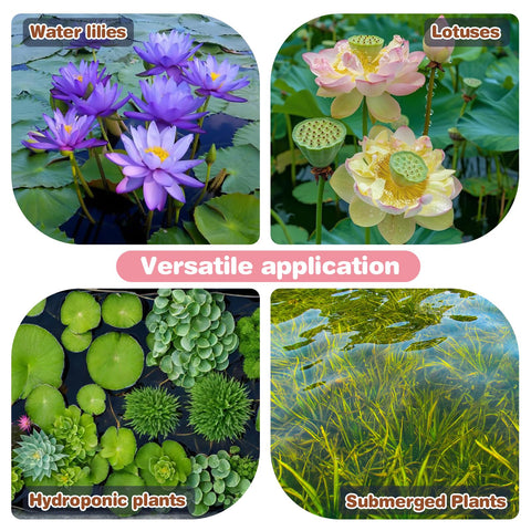 Omitgoter Aquatic Soil features a nutrient-dense clay base for lasting vitality.
