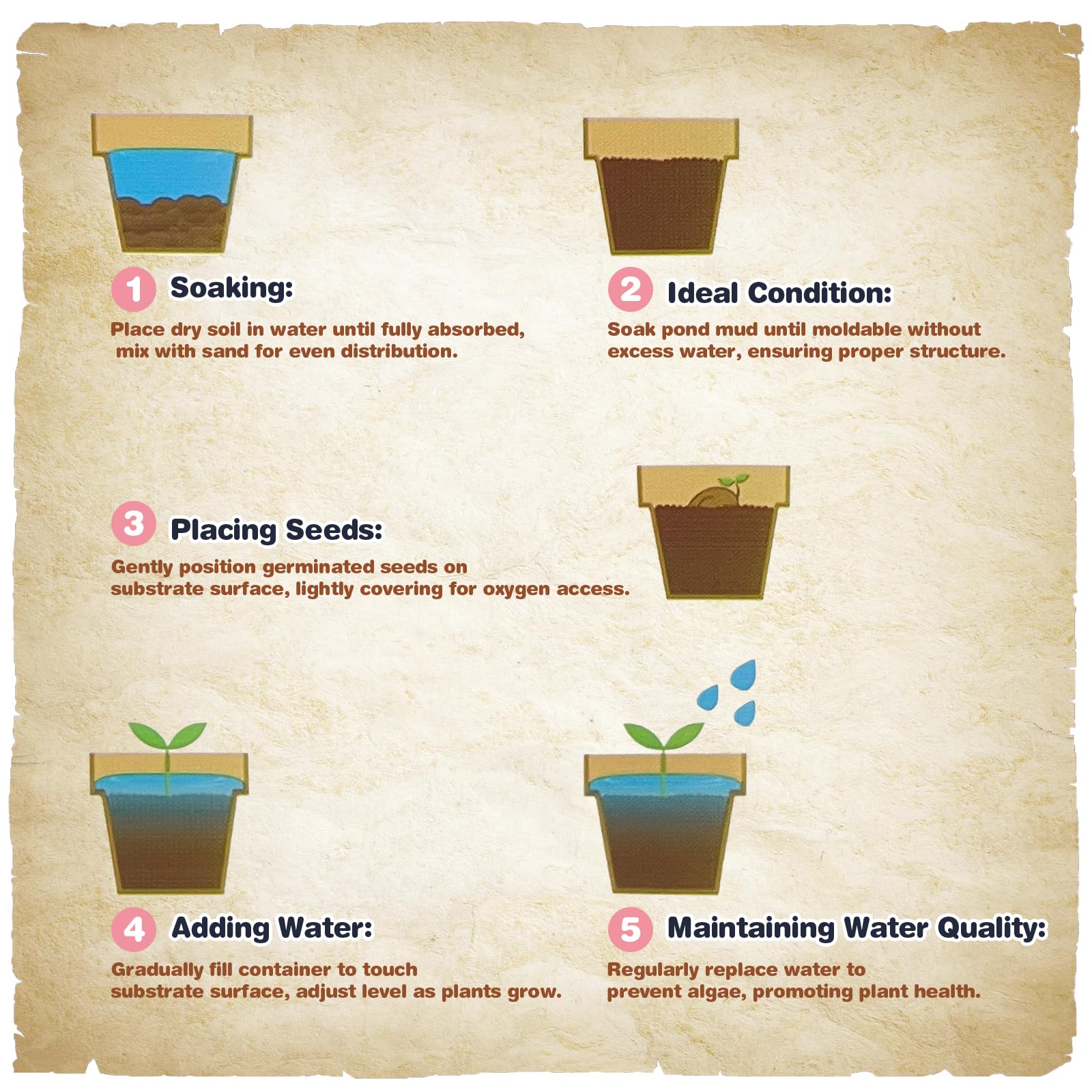 Omitgoter Aquatic Soil is easy to plant, fixing roots with minimal effort.