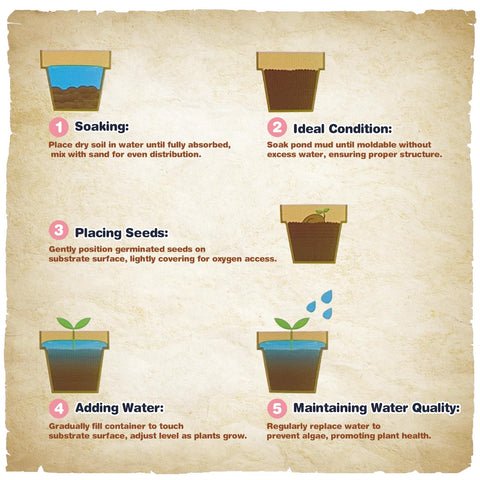 Omitgoter Aquatic Soil is easy to plant, fixing roots with minimal effort.