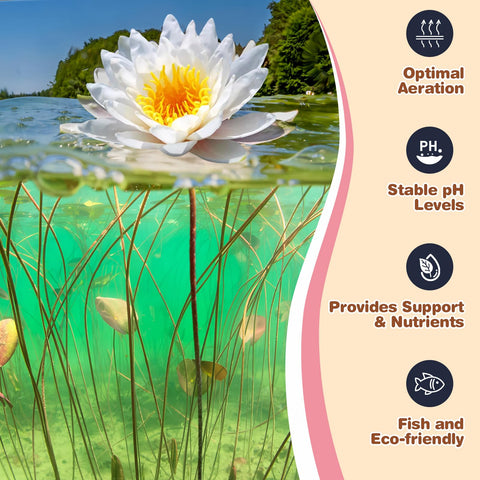 Omitgoter Aquatic Soil supporting water lilies with steady nutrients.