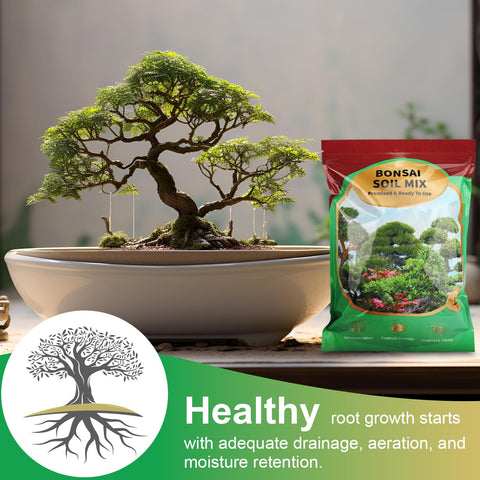 Omitgoter Bonsai Soil Mix Akadama lava prumice blend supports robust growth.