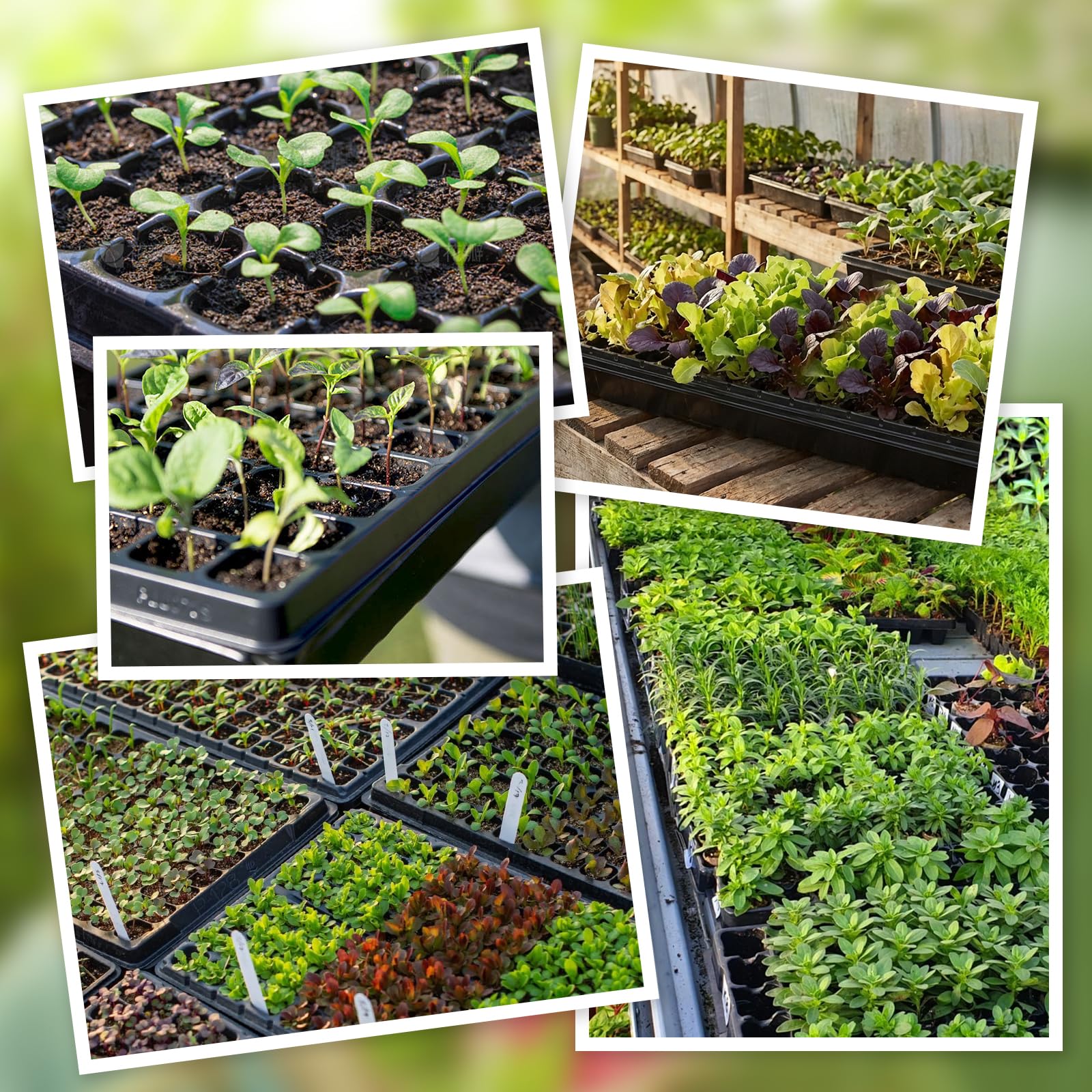 Omitgoter bundle of 10 sets for convenient greenhouse setup and savings.