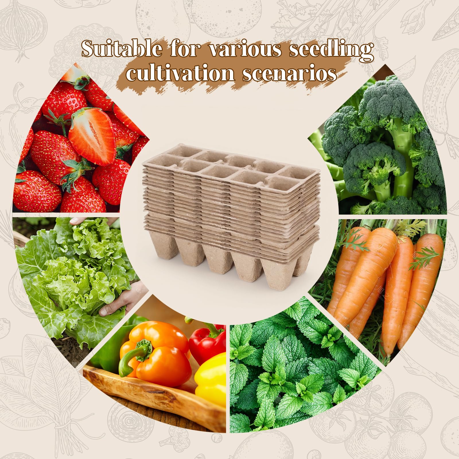 Omitgoter compact 10-cell tray ideal for herbs, vegetables, and flowers.