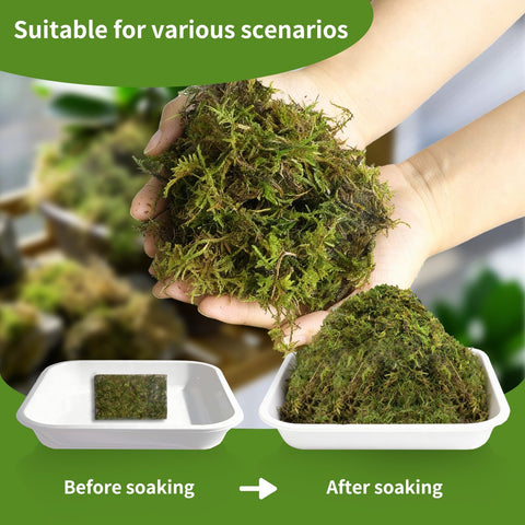 Omitgoter moss soaked expansion shows ready-to-use volume for plant pots.