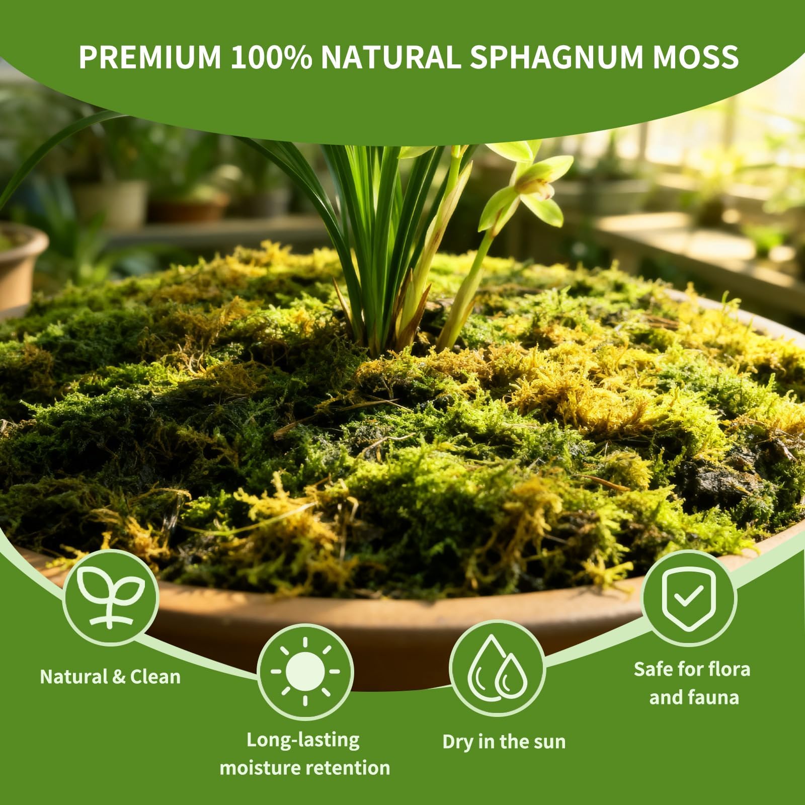 Omitgoter moss top-dressing enhances soil texture and airflow for healthy plants.