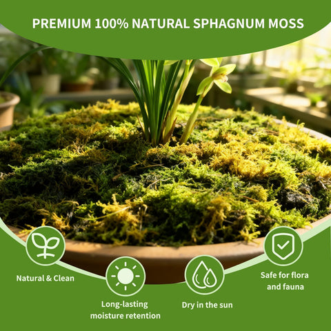 Omitgoter moss top-dressing enhances soil texture and airflow for healthy plants.