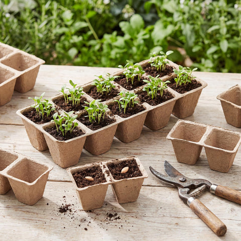 Omitgoter cuttable seed pots for modular planting in tight spaces.