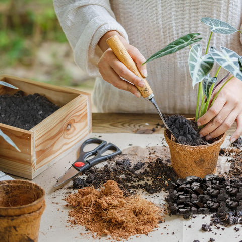Omitgoter Horticultural Charcoal indoor-plants versatile-use for many species.