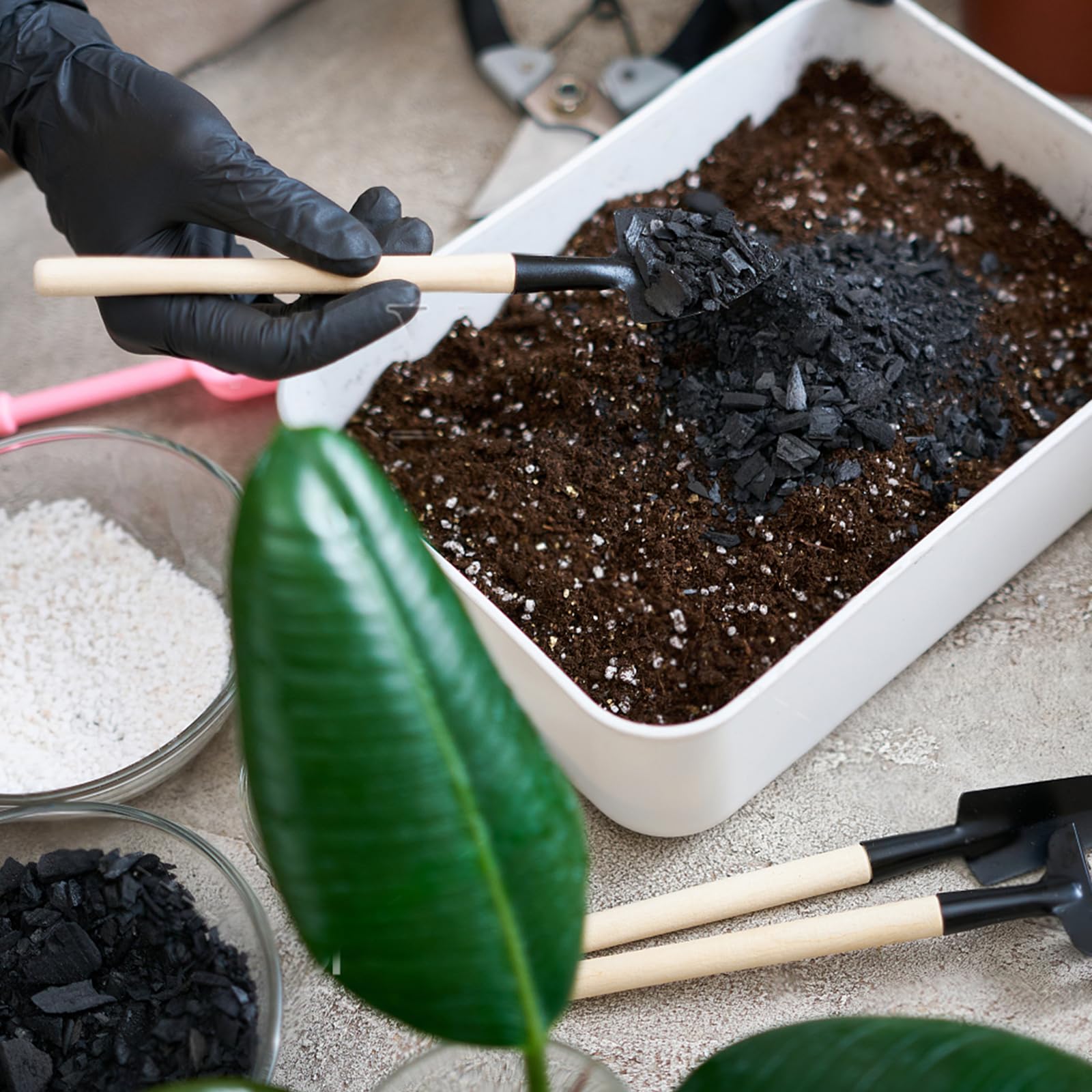 Omitgoter Horticultural Charcoal succulents-orchids ideal for soil amendments.