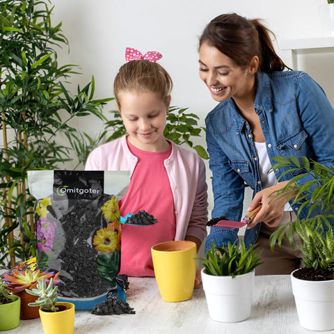 Omitgoter Horticultural Charcoal terrarium setup supports balanced microclimate.