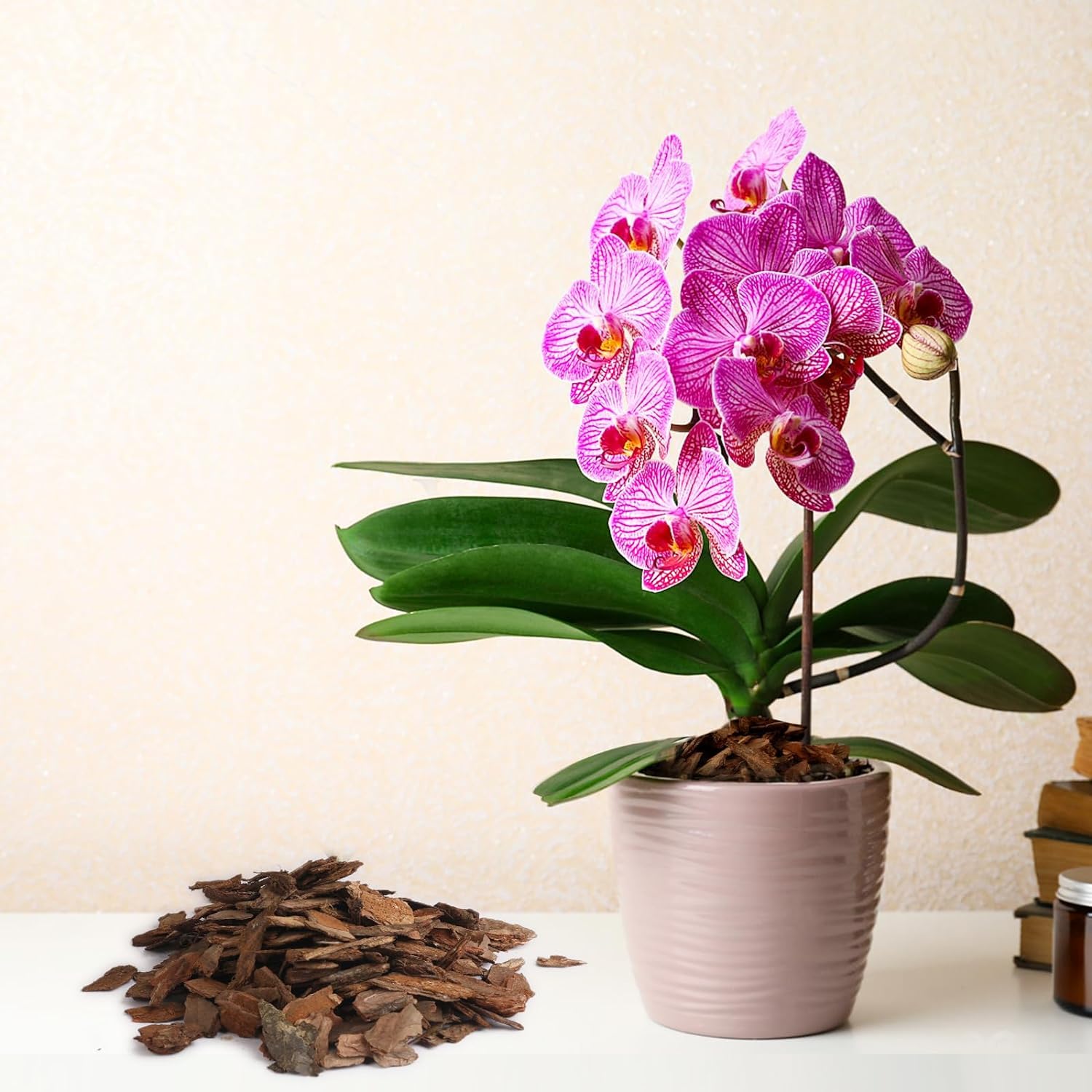 Omitgoter Orchid Bark 1qt for succulents and bonsai plants.