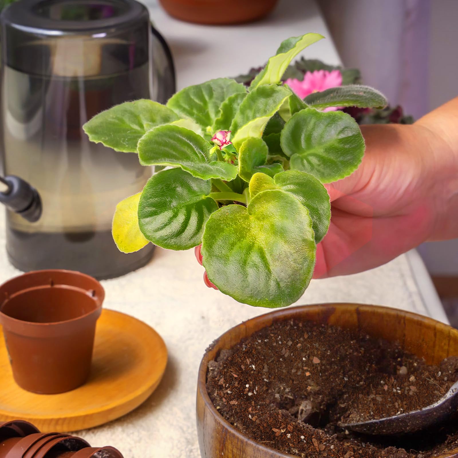 Omitgoter organic matter-rich mix supports nutrient availability.
