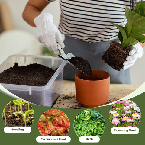 Omitgoter peat moss enriches soil with organic matter for better fertility.