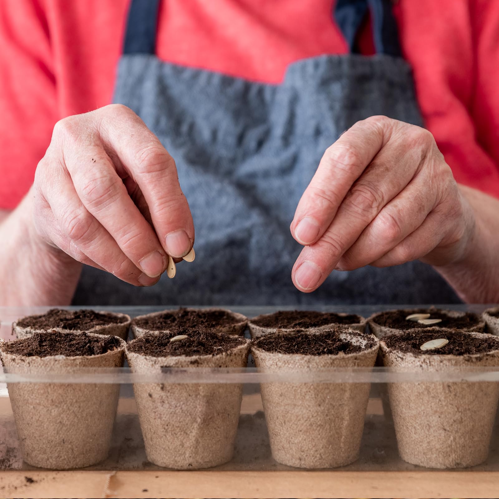 Omitgoter peat moss raised bed amendment supports soil structure and water management.