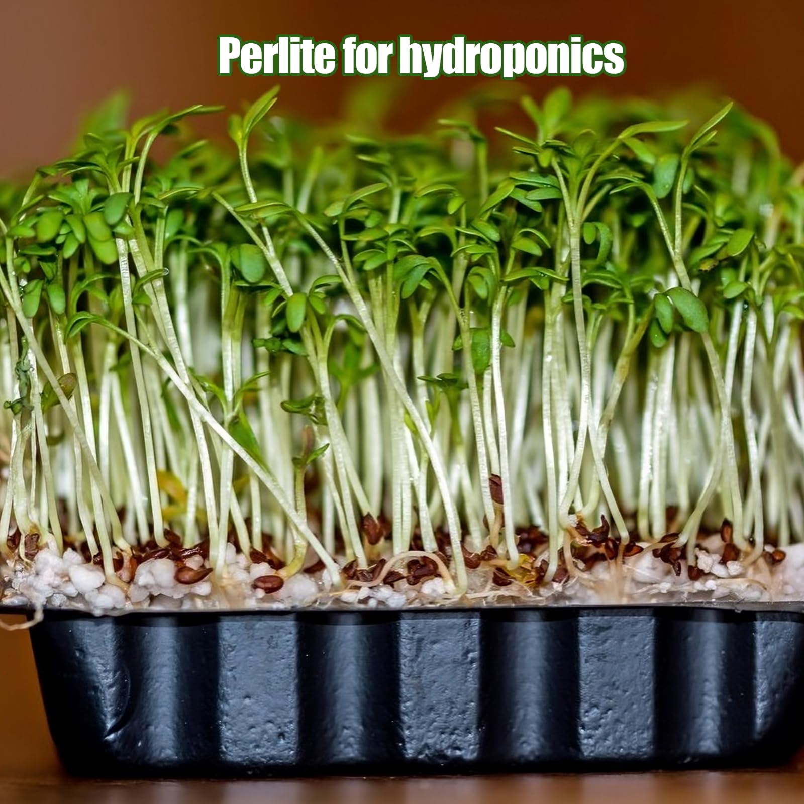 Omitgoter perlite in soil mix demonstrates improved drainage and airy texture