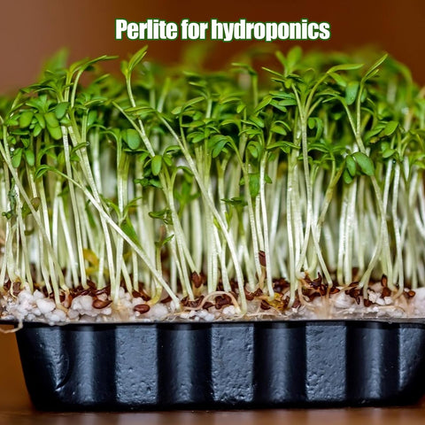 Omitgoter perlite in soil mix demonstrates improved drainage and airy texture