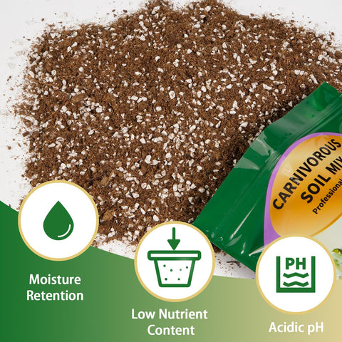 Omitgoter pitcher plant soil closeup emphasizes pH-optimized growing medium.