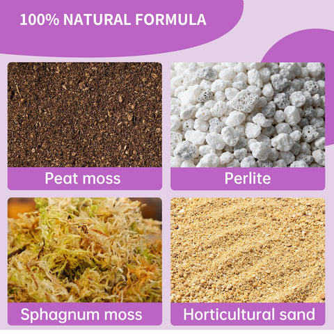 Omitgoter soil for Venus Fly Trap close-up demonstrates bog-like drainage properties.