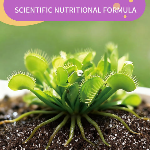 Omitgoter soil for Venus Fly Trap in container emphasizes healthy root development.