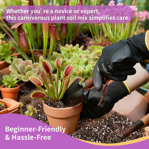 Omitgoter ready-to-use soil on a pot, beginner-friendly carnivorous plant care.