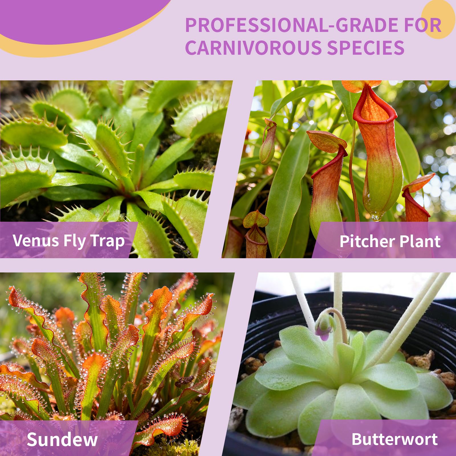 Omitgoter soil blend for carnivorous species focuses pH and texture for better trapping.