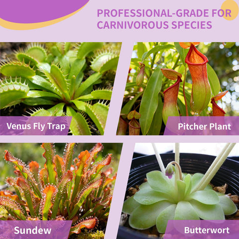 Omitgoter soil blend for carnivorous species focuses pH and texture for better trapping.