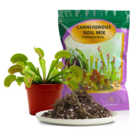 Omitgoter premium carnivorous soil close-up showing airy mix for rapid drainage.
