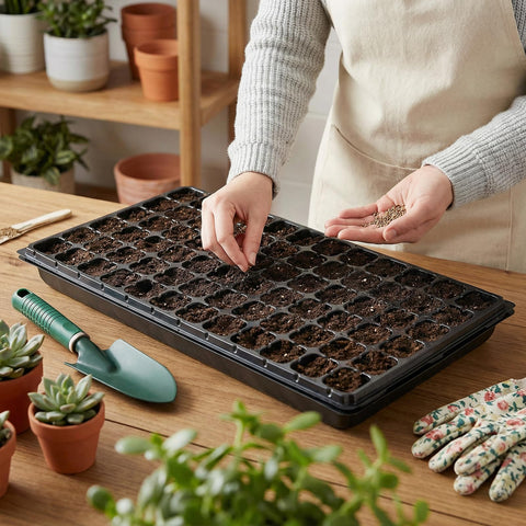 Omitgoter seed tray with black finish boosting light absorption.