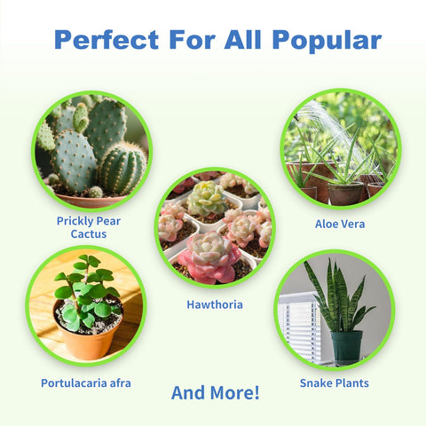 Omitgoter snake plant potting mix ready for easy repotting