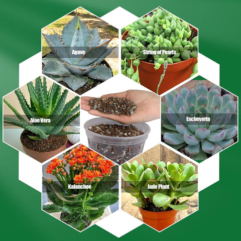 Omitgoter soil mix close-up ingredients highlights natural gritty texture.