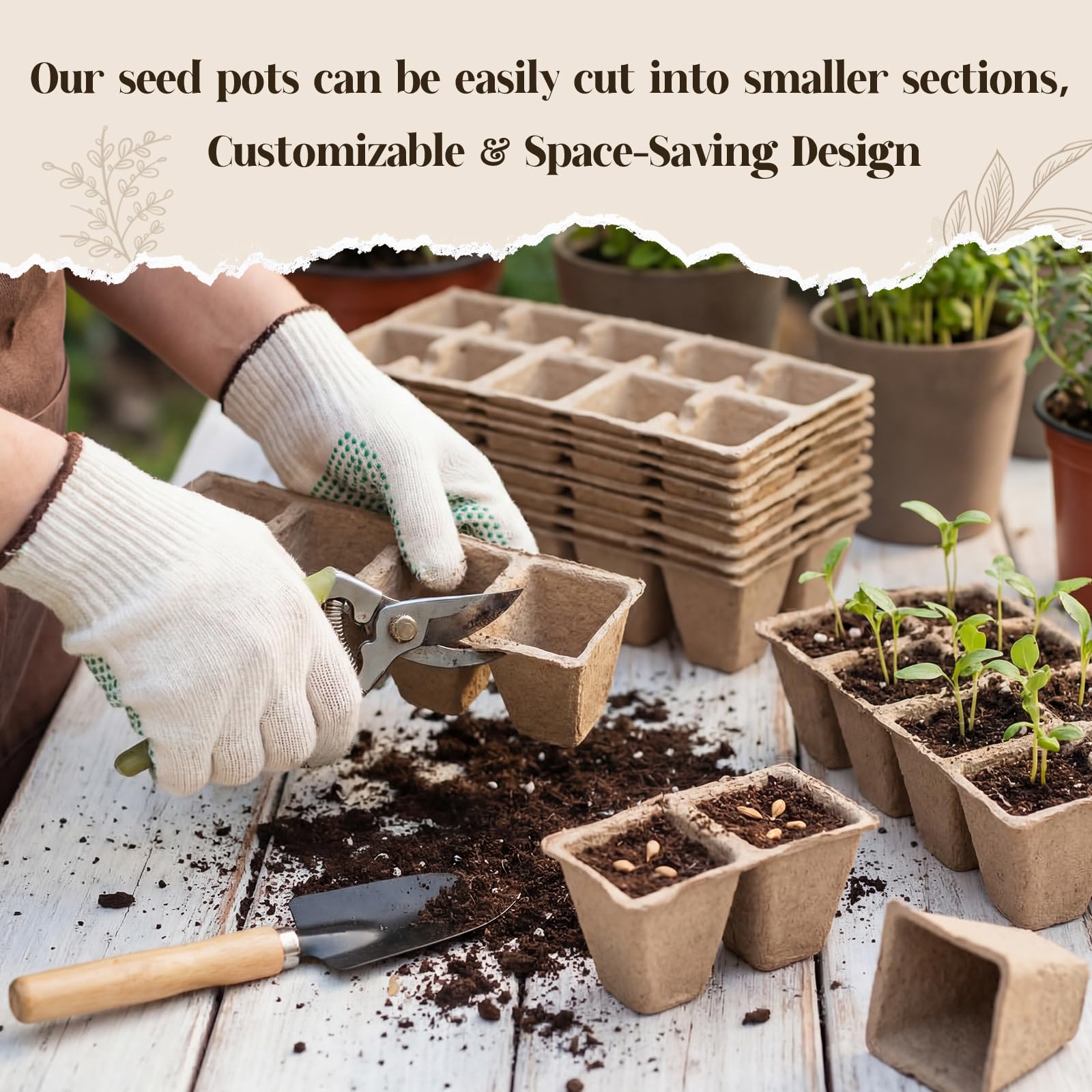 Omitgoter T-type labels for quick seedling identification.