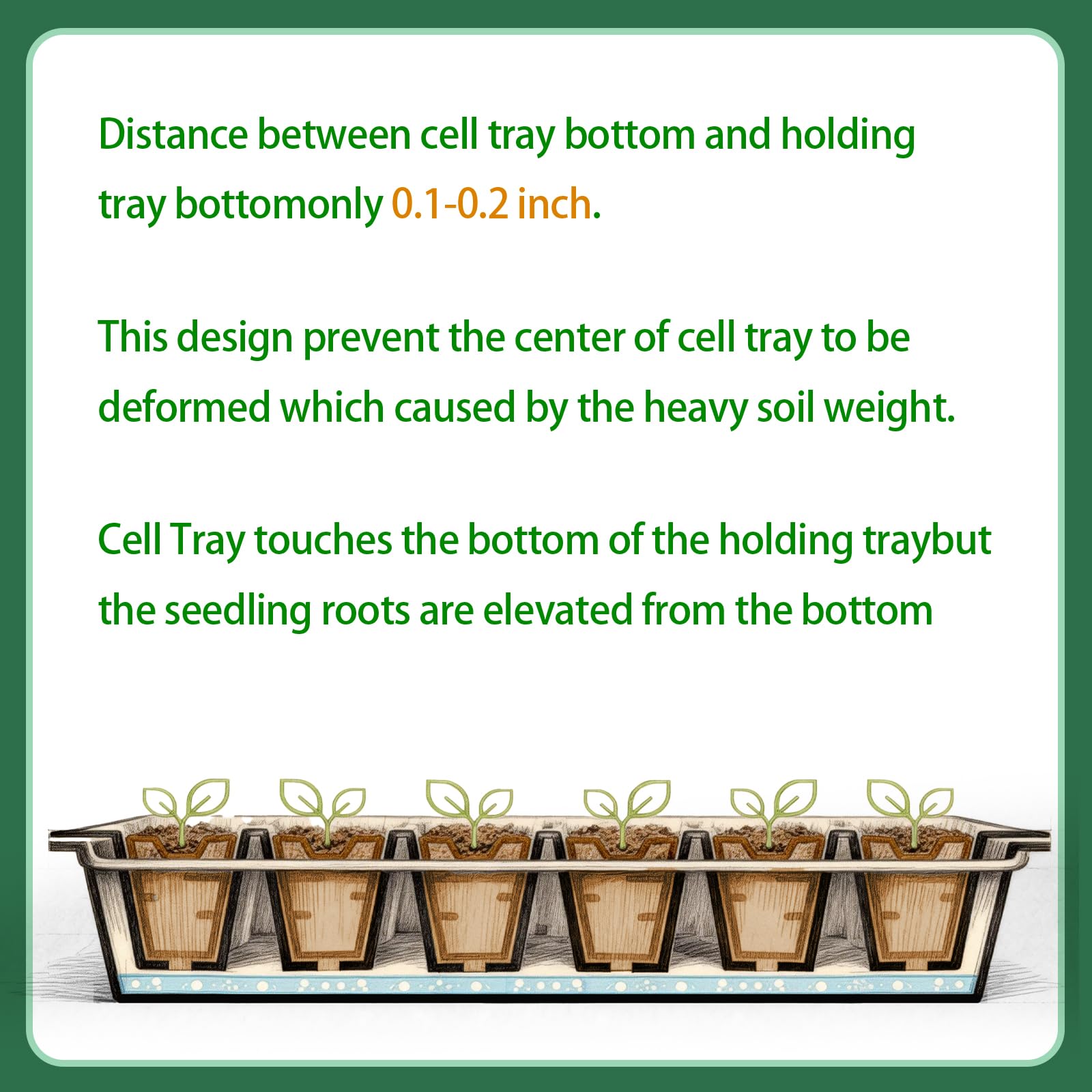 Omitgoter tray with drainage holes promoting moisture control and seedling health.