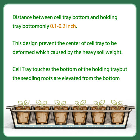 Omitgoter tray with drainage holes promoting moisture control and seedling health.
