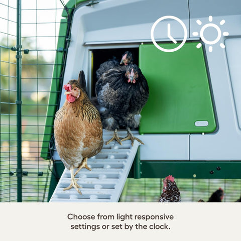 Omlet Autodoor safety sensors protect hens from closures.