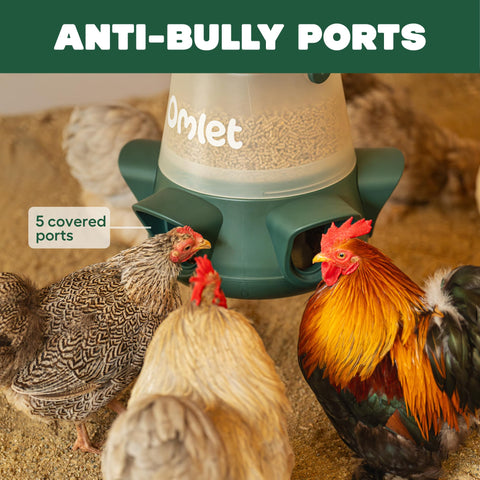 Omlet No Waste Feeder capacity 12lb indicator for seven-day feeding.