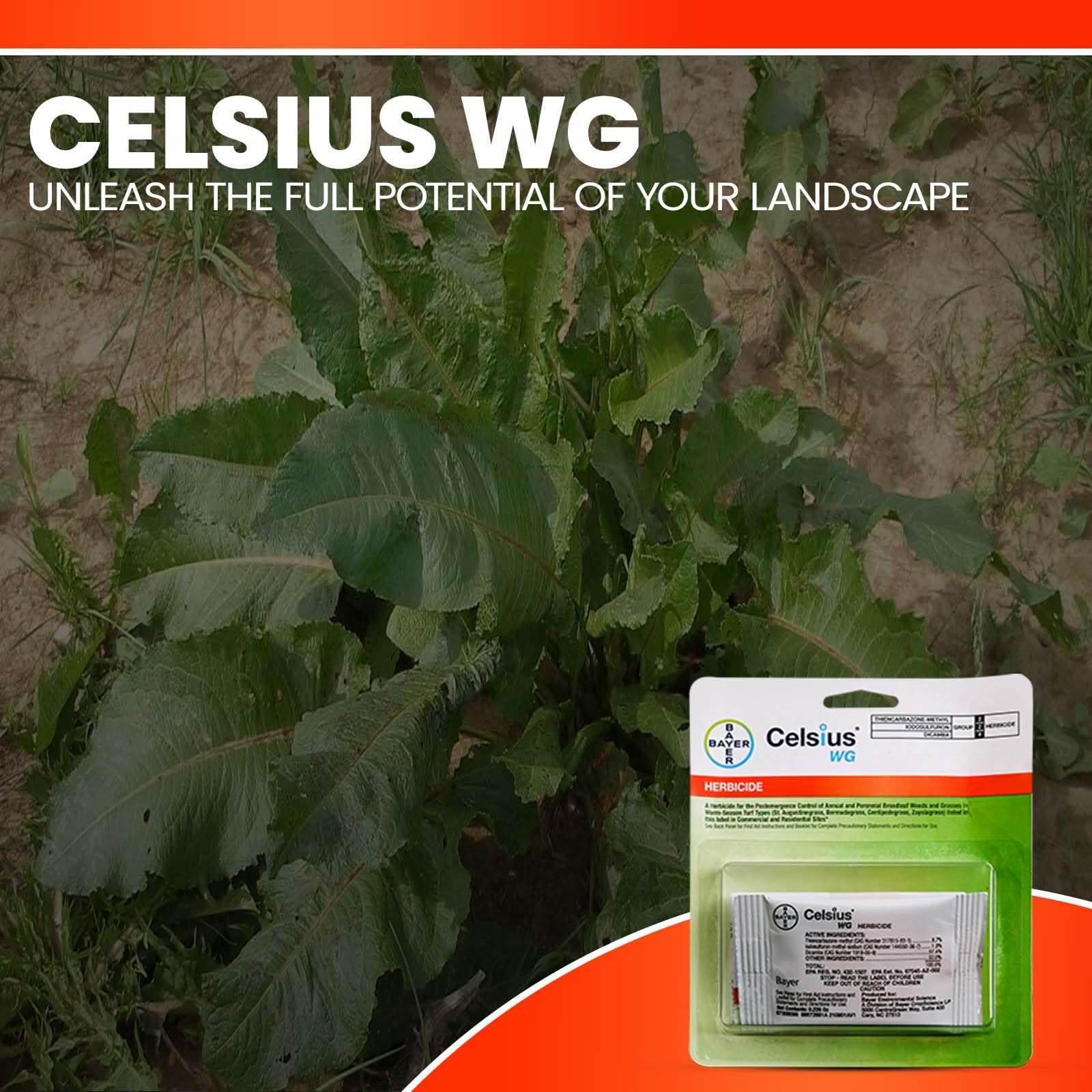 OMNI DEPOT Celsius WG low odor formulation for easier, more pleasant applications