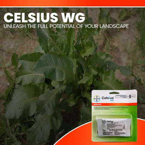 OMNI DEPOT Celsius WG low odor formulation for easier, more pleasant applications