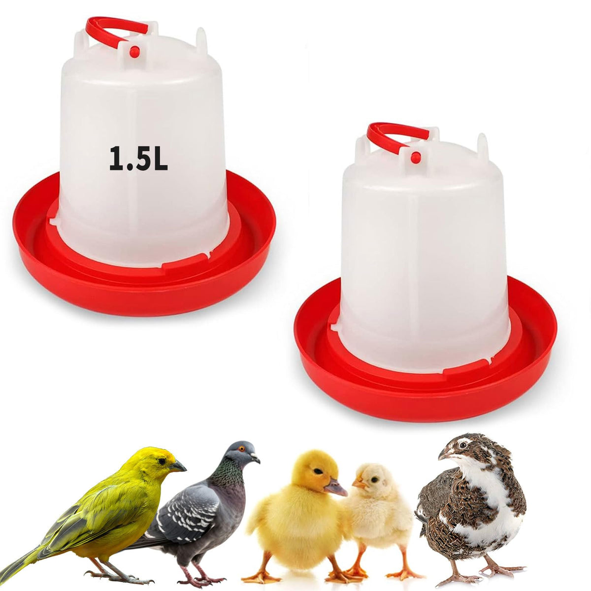 Oncpcare 2-pack 1.5L chick waterers with handle keep backyard flock hydrated and organized.