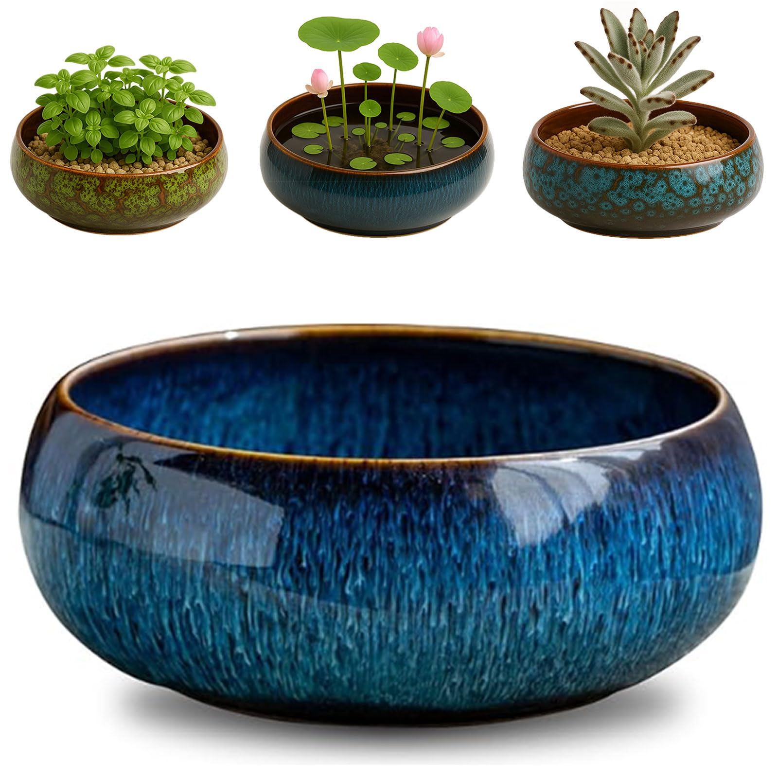 Oncpcare lotus bowl planter in blue glaze ideal for indoor water plant displays.