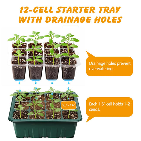 Ondware complete starter kit includes domes trays bases markers and tools